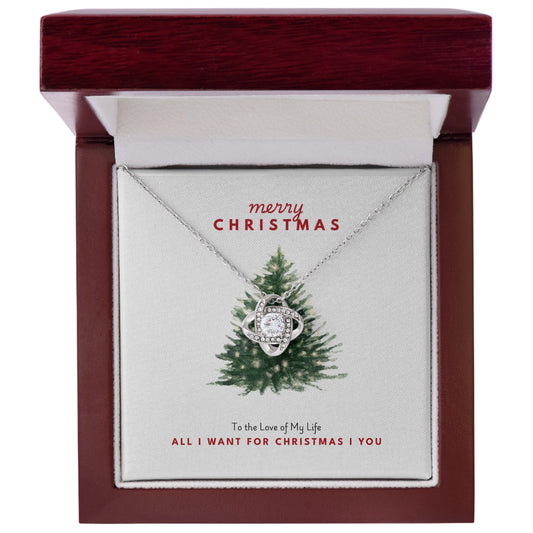 Personalized Christmas Gift for Girlfriend or wife – Love of My Life Necklace