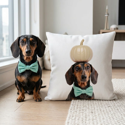 Personalized cat Halloween pillow with custom pet photo and minimalist Halloween design