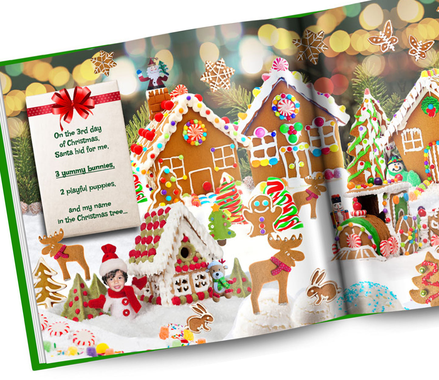 Personalized Christmas Books with with Photos and Names for multiple characters 